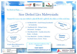 Sioe Dethol Lles Mabwysiadu