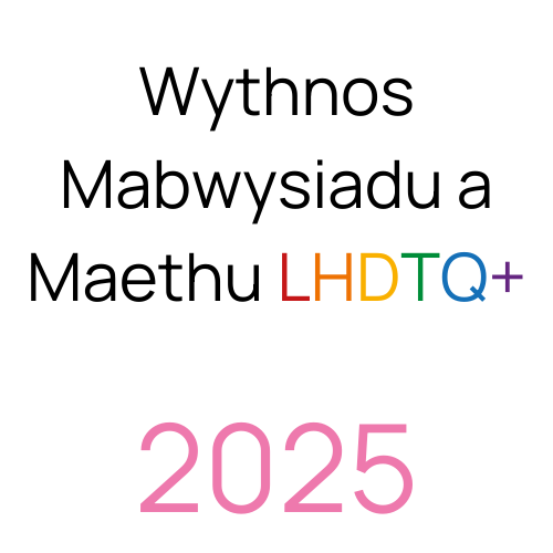 Wythnos Mabwysiadu a Maethu LHDTQ+